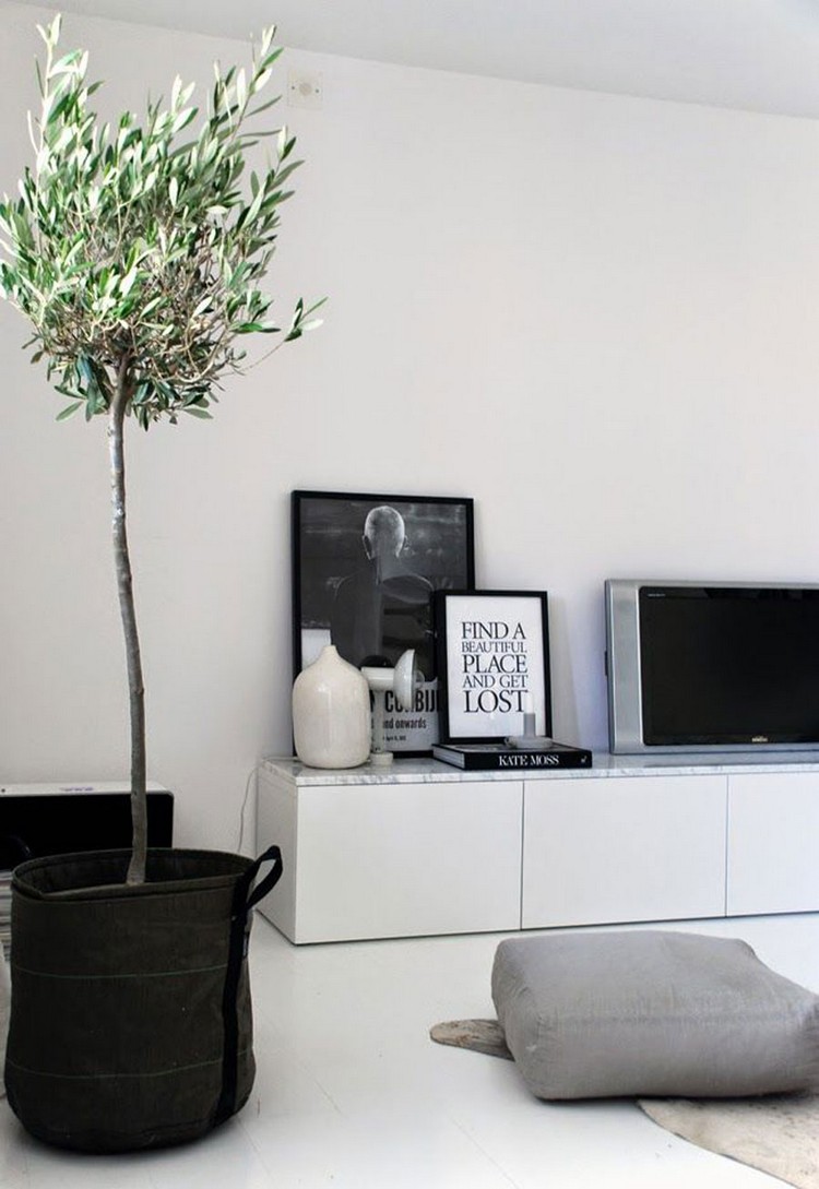 meuble tv scandinave -bas-blanc-deco-tableaux-noir-blanc-plante-interieur