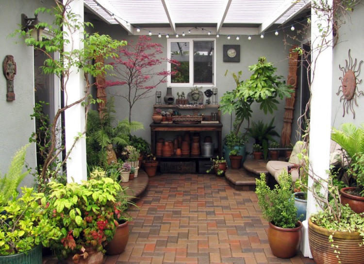 aménagement cour intérieure -erable-japon-pot-plantes-vertes-pots-paves