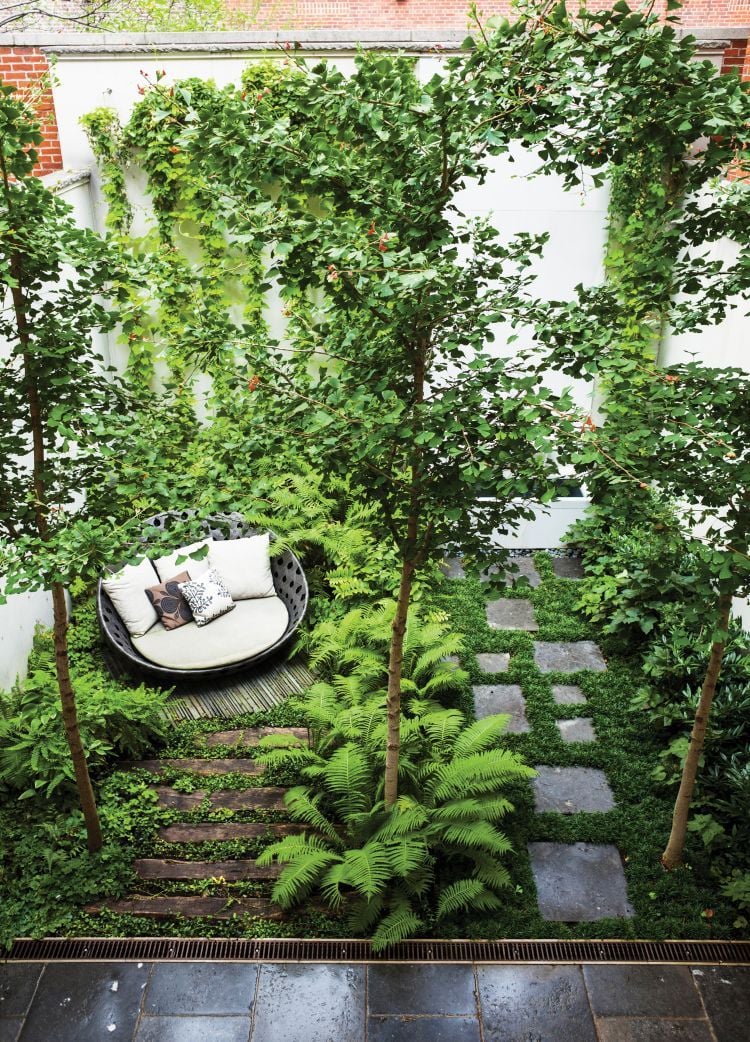 aménagement jardin extérieur -arbres-fougeres-allee-pas-japonais-dalles-lit-jour