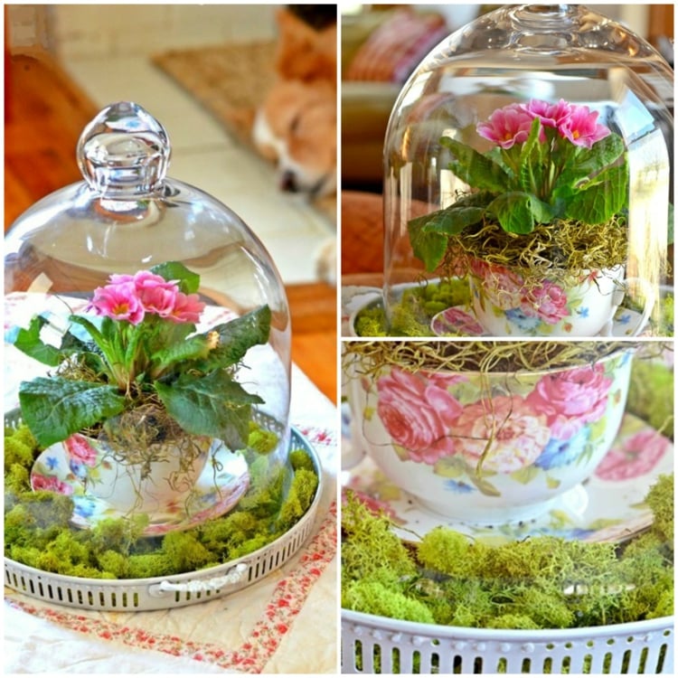cloches-verre décorées mousse primevères roses tasse thé vintage