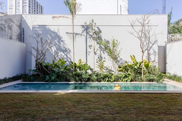 cour-piscine-extérieure-plantes-exotiques-Sao-Paolo-Casa-Lara