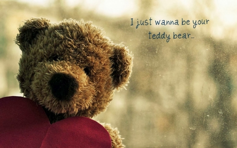 idée cadeau Saint Valentin femme ourson-wanna-be-your-teddy-bear