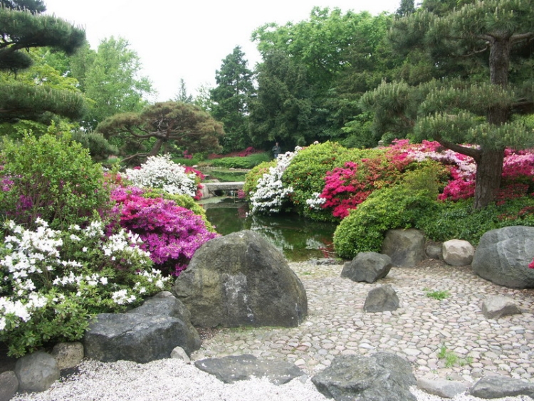jardin-pente-lac-artificiel-buis-roses-style-japonais