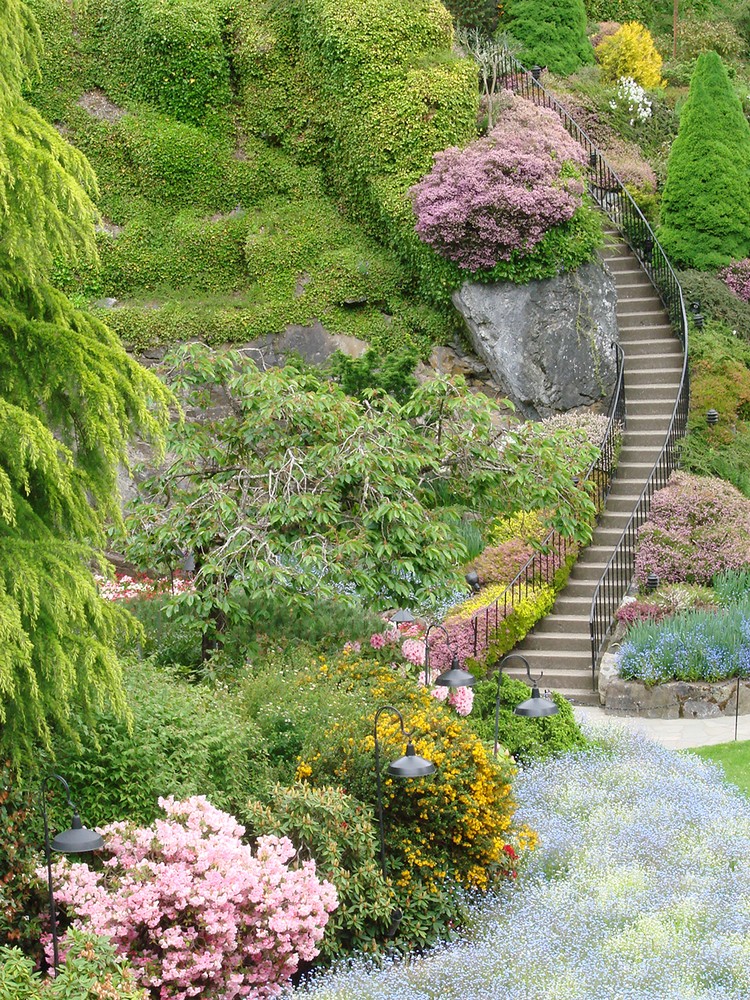 jardin-pente-moderne-escalier-imposant-arbres-fleruis