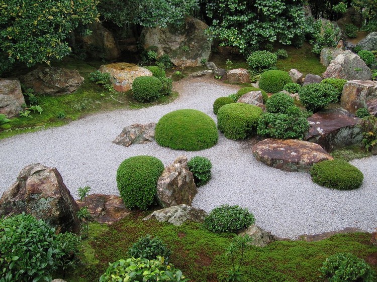 jardin zen moderne-buis-boule-gravier-decoratif-mousse-vegetale