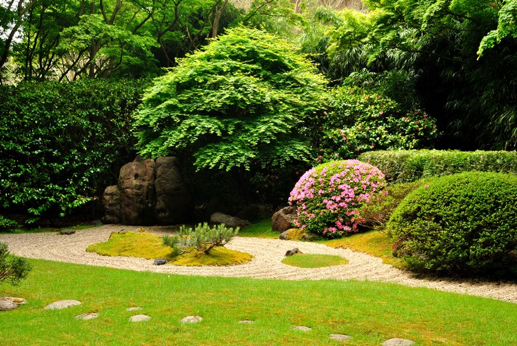 jardin zen moderne-pelouse-gravier-decoratif-buis-boule-arbuste-fleuri