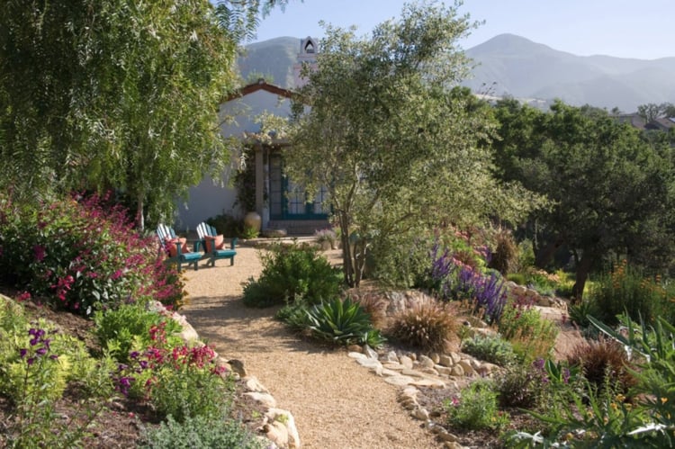 jardins méditerranéens -allee-gravier-parterres-fleurs-olivier-chaises-longues