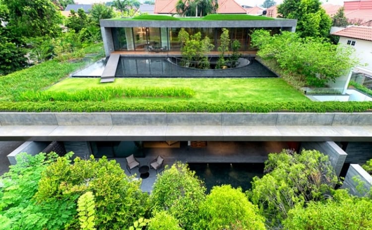 lambris-bois-plafond-terrasse-jardin-toiture-végétalisée