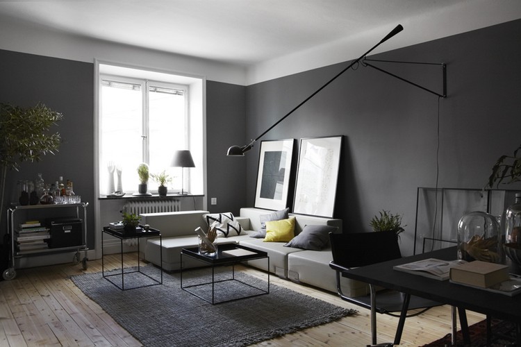 peinture salon moderne -gris-mat-canape-blanc-tapis-gris-parquet