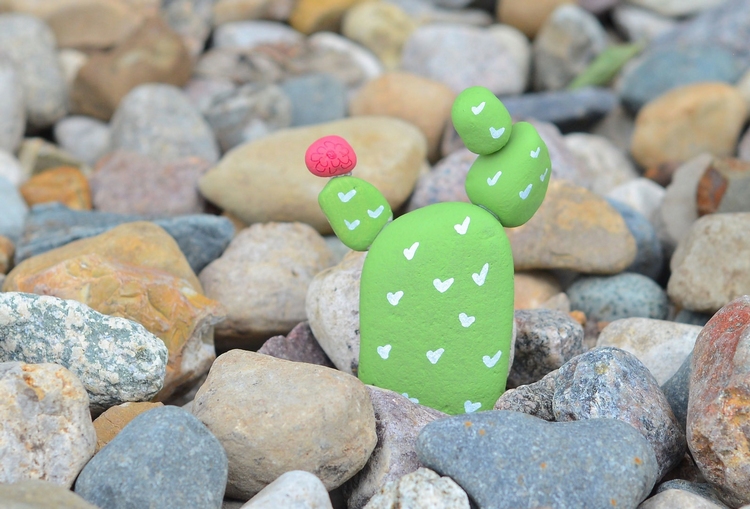 rocaille-jardin-idée-décoration-originale-galets-peints-cactus