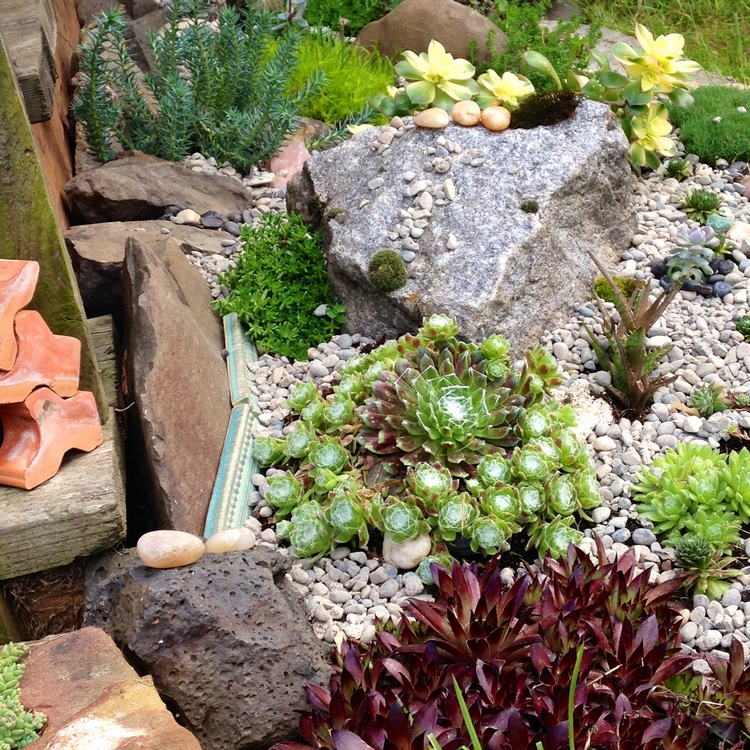 rocaille plantes-succulentes-tuiles-roches-gravier-décoratif