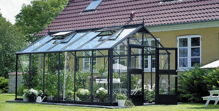 serre de jardin en verre métal-noir-arbustes-fleurs