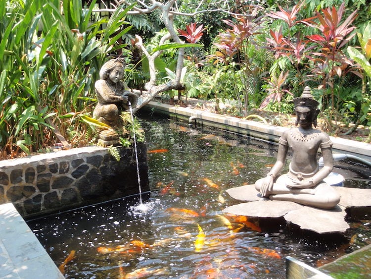 carpes-koï-statues-jardin-zen-bassin-poisson-moderne