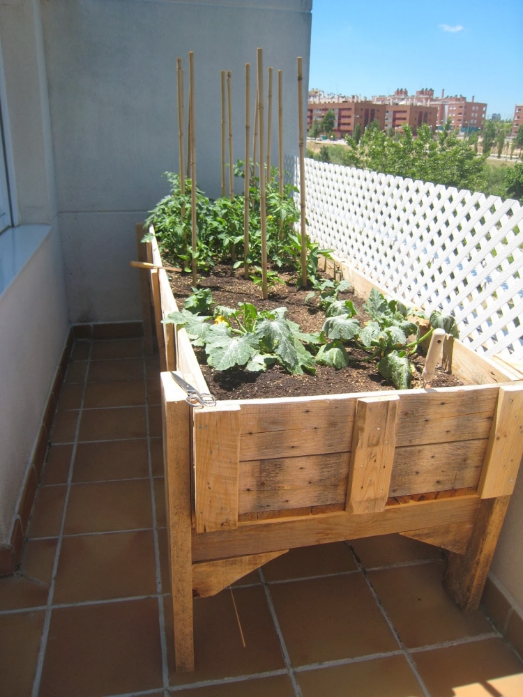 carré potager surélevé construire soi-même cultiver légumes balcon