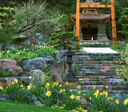 création de jardin –style-asiatique-marches-escalier-pierre-naturelle-jonquilles