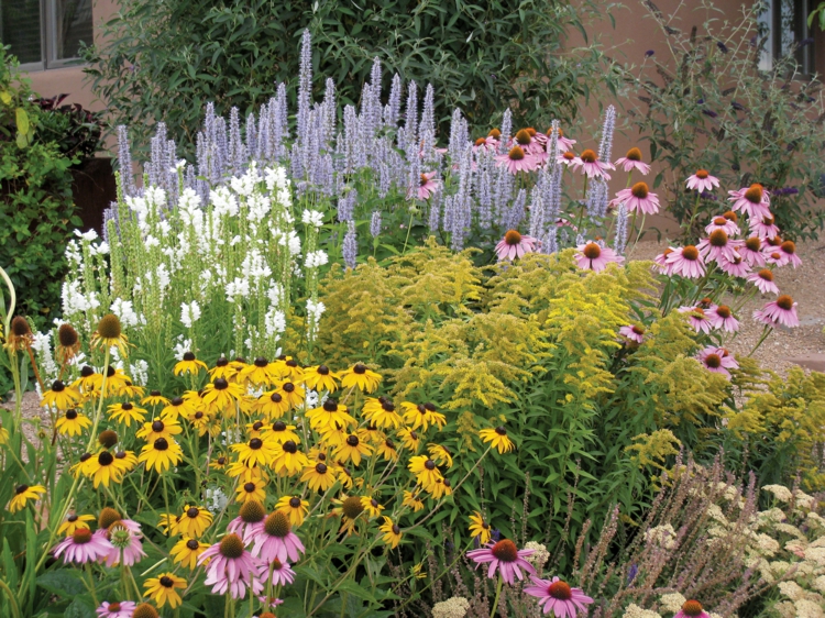 création de jardin –style-campagnard-fleurs-lavande-rudbeckia