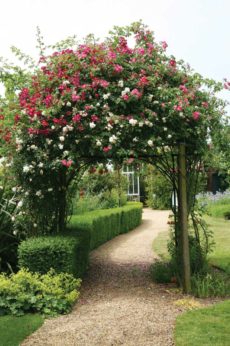 création de jardin –style-campagnard-rosiers-grimpants-arche-jardin