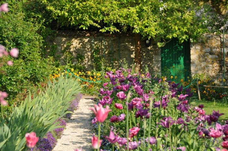 création de jardin –style-campagnard-tulipes-arbustes