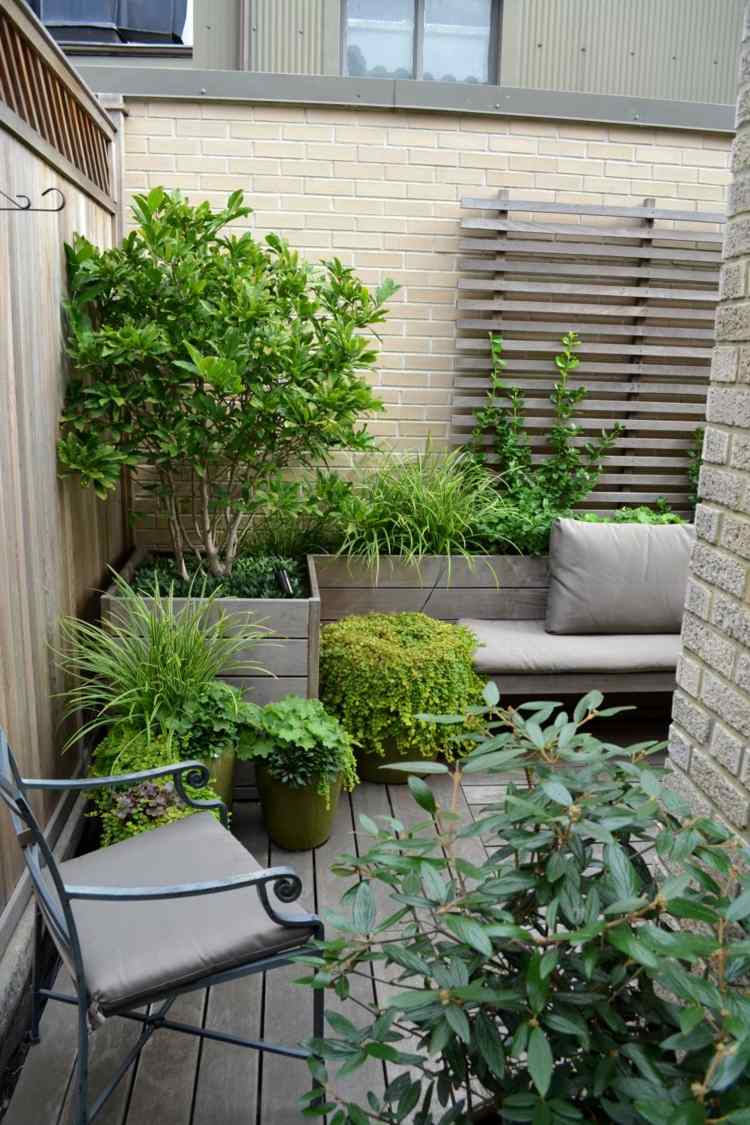 Graminées décoratives en 20 idées pour embellir la maison !