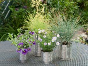 graminées-décoratives-fleurs-multcolores-pots-métalliques-balcon