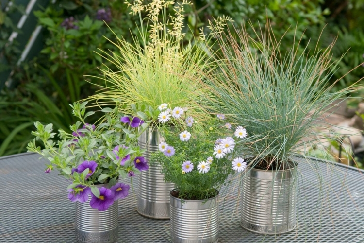 graminées-décoratives-fleurs-multcolores-pots-métalliques-balcon