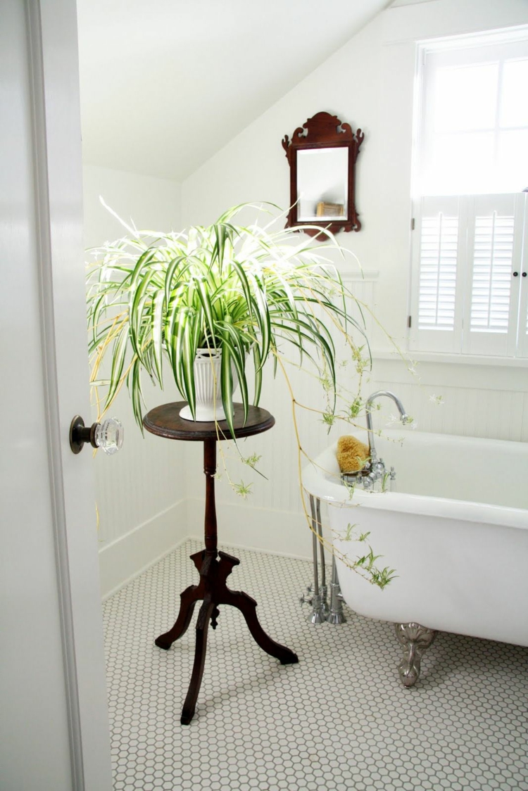 graminées décoratives pot-blanc-décorer-salle-bains-vintage