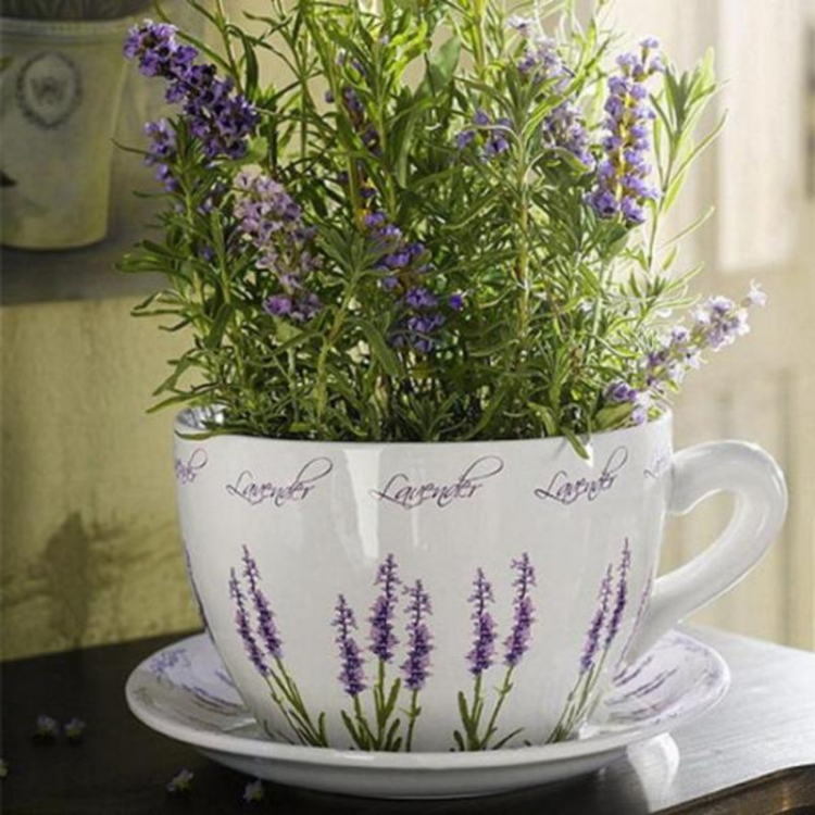 herbes-aromatiques-lavande-pot-blanc-décorer