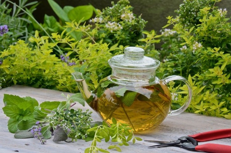 herbes aromatiques propriétés-médicinales-cuisine-jardin