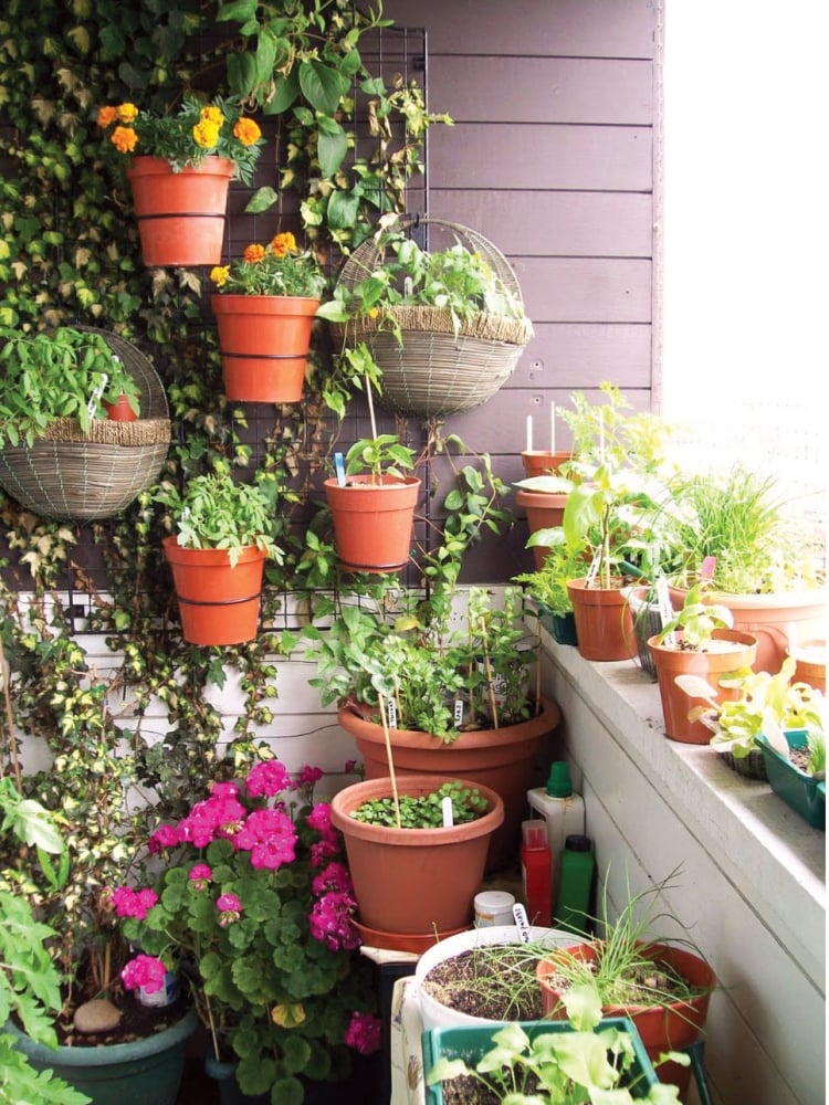 jardin-balcon-déco-murale-plantes-fleurs-pots-argile