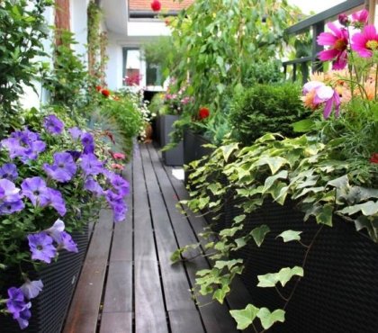 jardin-balcon-fleurs-multcolores-plantes-terrasse-bois