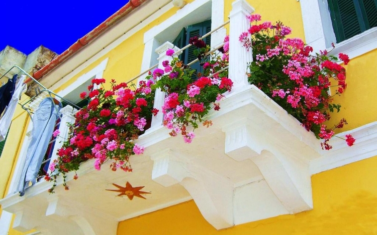 jardin-balcon-fleurs-roses-pétunias-style-provençal