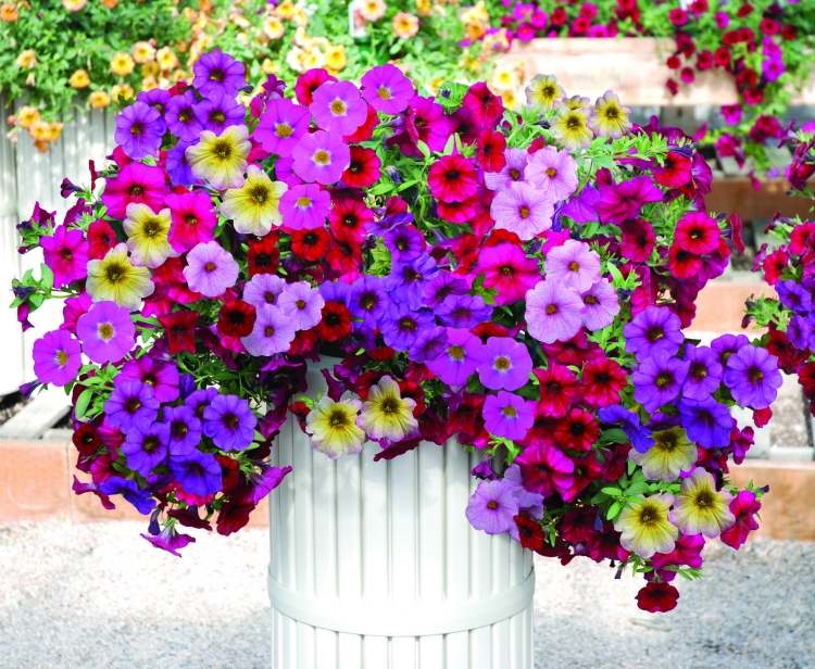 Jardin balcon réussi idées d'aménagement et astuces déco ! Décor Balcon Parisien