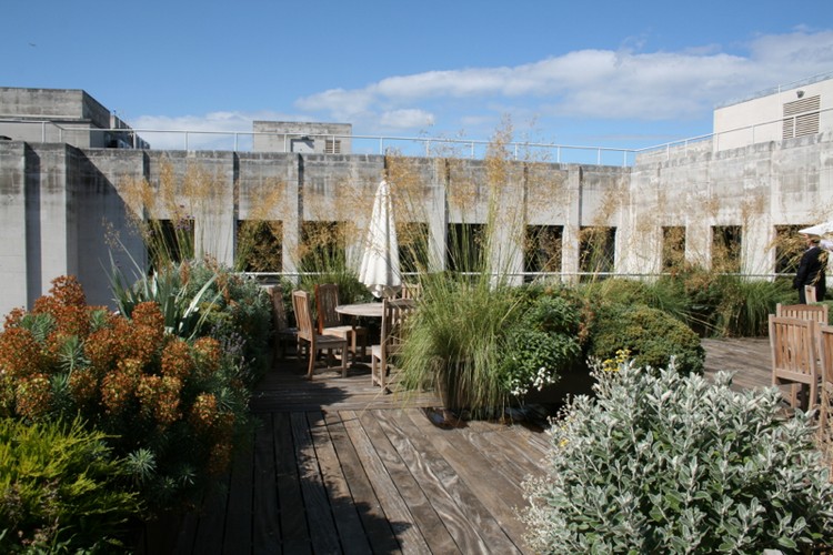 jardin sur le toit -graminees-ornementales-mobilier-bois