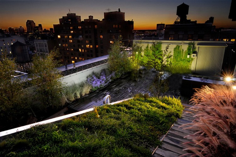 jardin sur le toit -moderne-plantes-couvre-sol-graminees-eclairage
