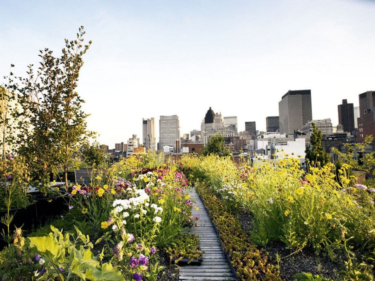 jardin sur le toit –terrasse-allee-fleurs-plantes-couvre-sol