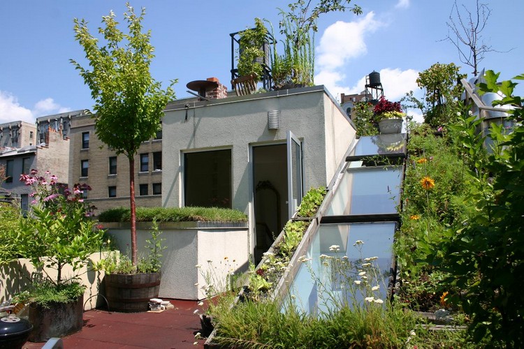 jardin sur le toit –terrasse-design-original-jeune-arbre-fleurs-parterres
