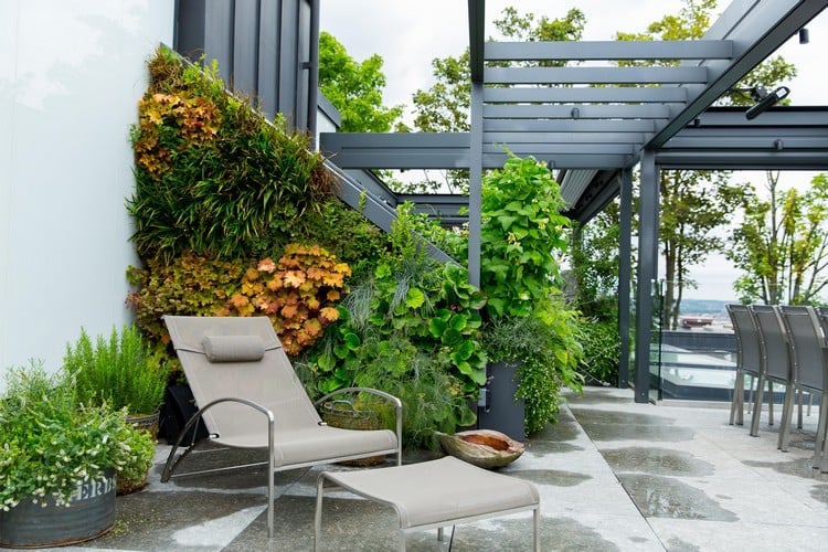 jardin sur le toit –terrasse-mur-vegetal-chaise-longue-grise-pergola