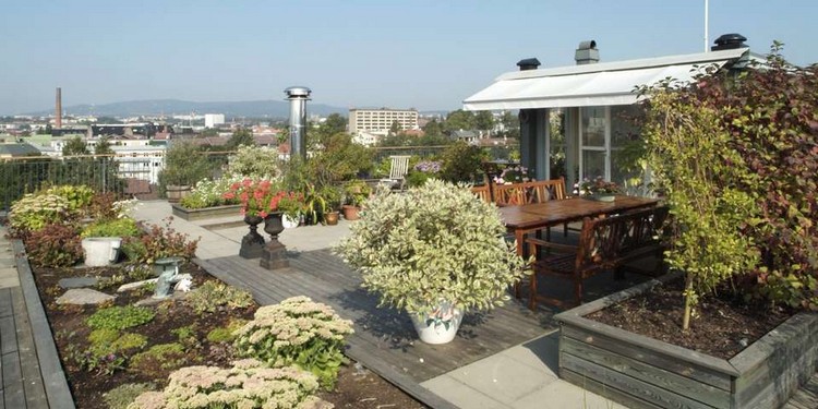 jardin sur le toit –terrasse-parterres-plantes-couvre-sol-arbustes