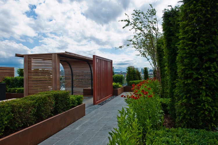 jardin sur le toit –terrasse-pergola-bois-moderne-cypres-buis-bordure
