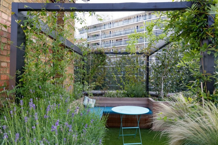 jardin sur le toit –terrasse-pergola-plantes-grimpantes-graminees-ornement