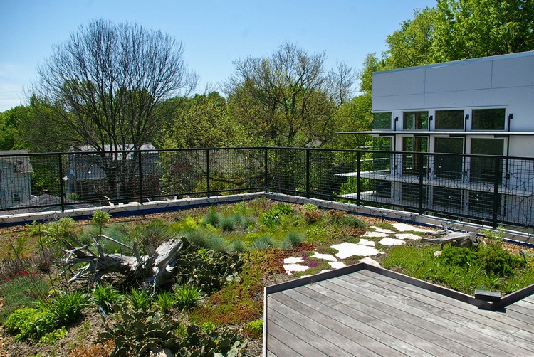 jardin sur le toit –terrasse-plantes-couvre-sol-allee-dalles