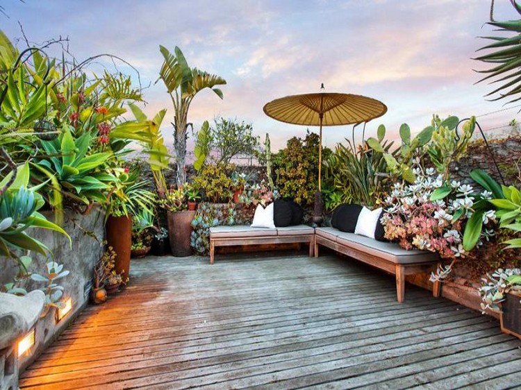 jardin sur le toit –terrasse-plantes-exotiques-succulentes-palmiers-bancs-parasol