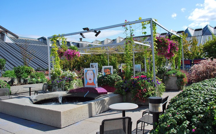 jardin sur le toit –terrasse-plantes-grimpantes-fleurs-petunias-fontaine-pergola