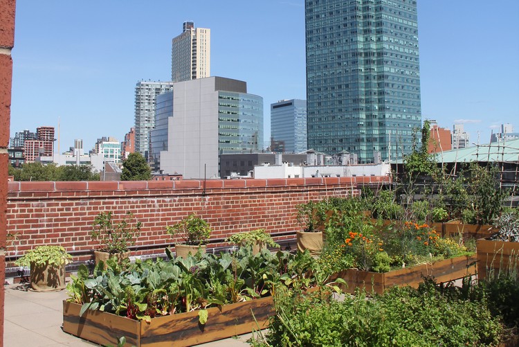 jardin sur le toit –terrasse-potager-parterres-bordure-bois