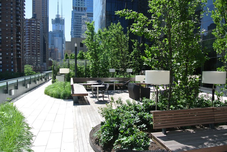 jardin sur le toit –terrasse-urbain-bancs-bois-jeunes-arbres