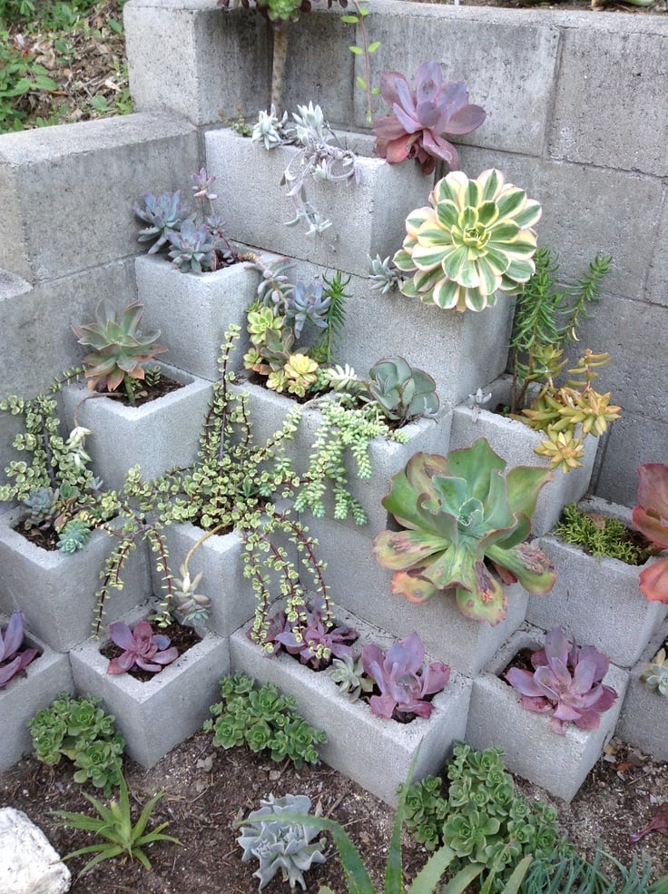 jardinière-béton-DIY-originale-parpaings-plantes-succulentes