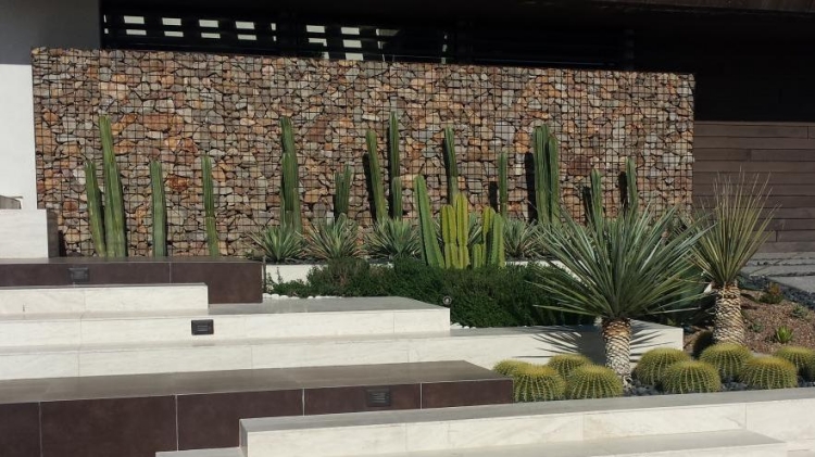 mur-gabion-agave-cactus-terrassement-jardin-pente-douce-contemporain