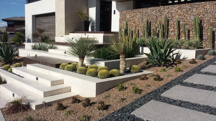 mur-gabion-cactus-agave-terrassement-pente-douce-allée-ardoise-jardin-moderne