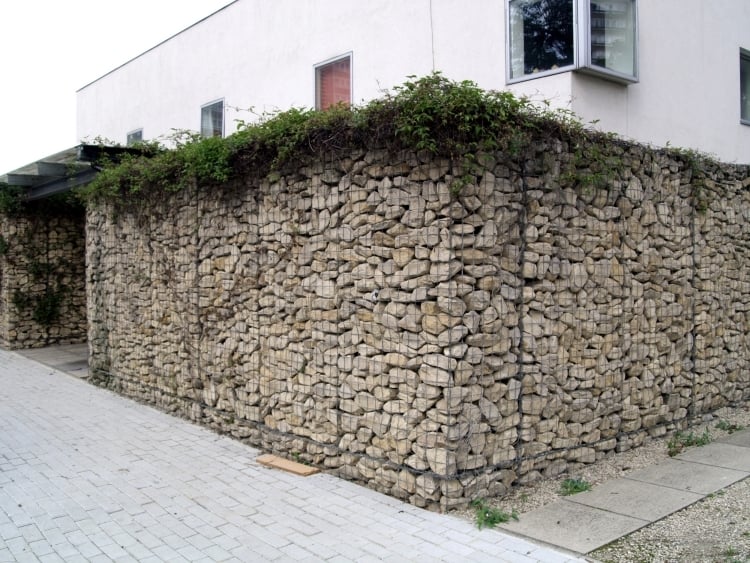 mur-gabion-partie-supérieure-végétalisé-jardin-moderne-arrière-cour