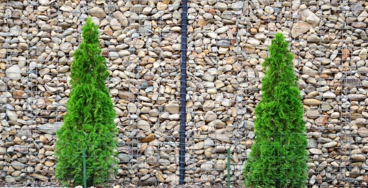 mur-gabion-pierres-rivière-beiges-décoré-cyprès-jardin-contemporain